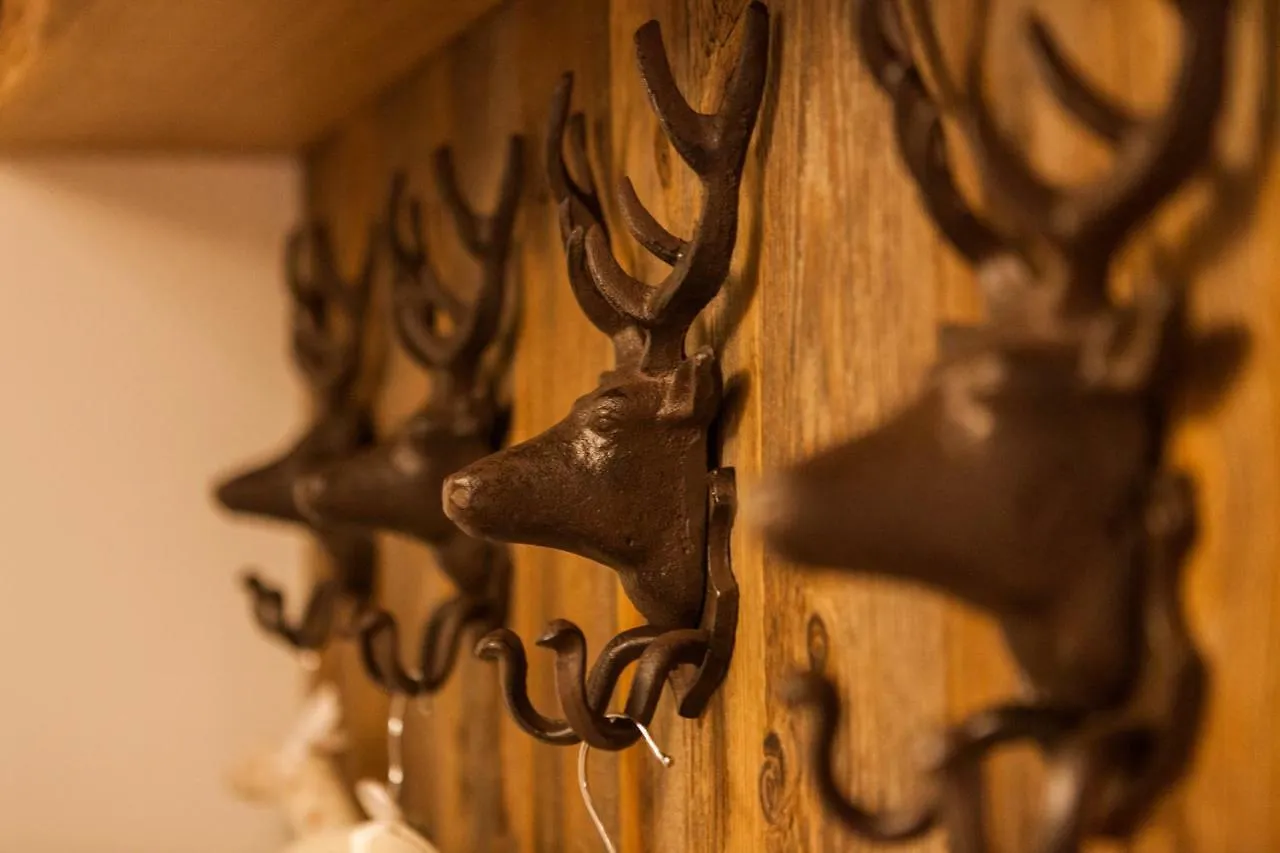 Chalet-Platzhirsch Hotel Oberstdorf 0*,  Germany