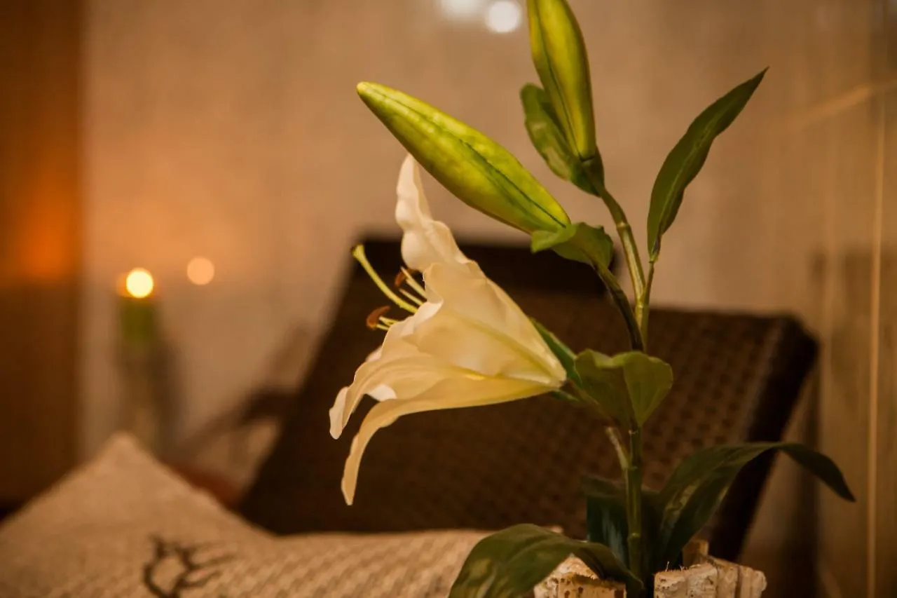 Holiday home Chalet-Platzhirsch Hotel Oberstdorf Germany